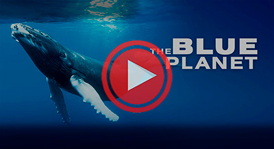   / The Blue Planet