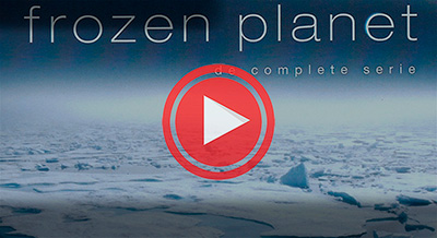 Frozen Planet / BBC:  